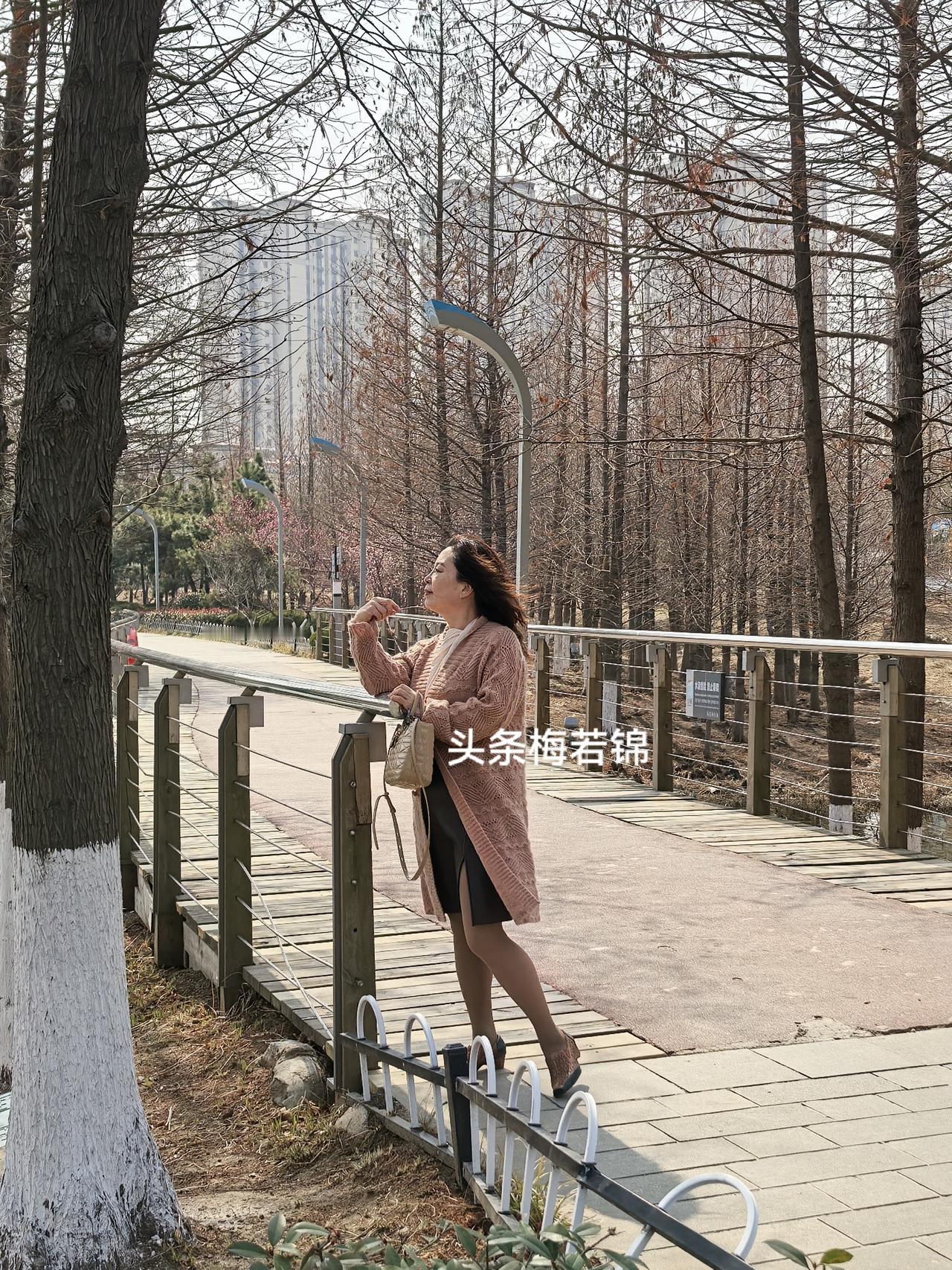 胶州的朋友空闲时间可以去少海看水鸟了。年前黑天鹅是主角，现在是水鸟登场，远远看去