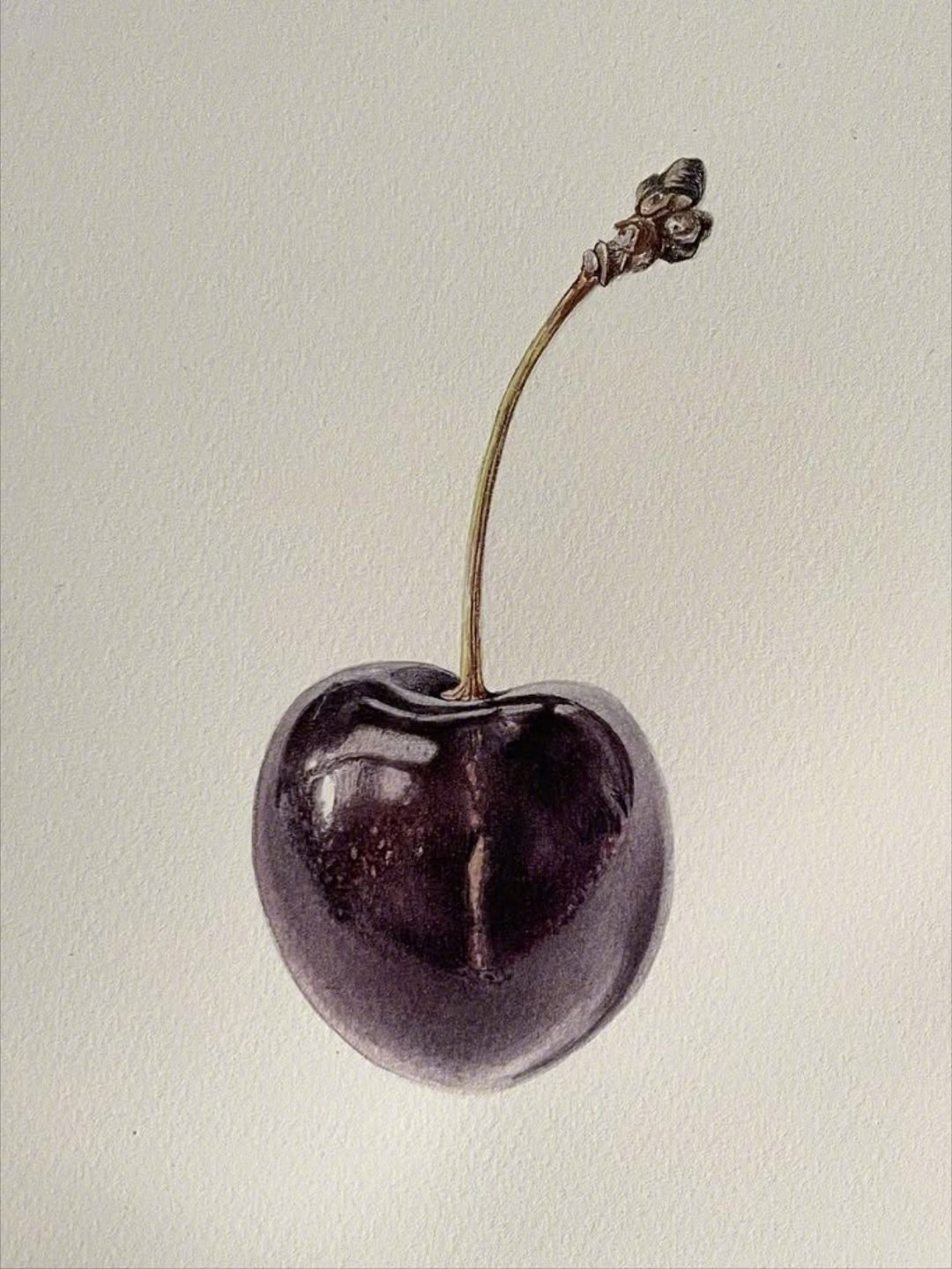 早安，紫樱桃🍒🌞 