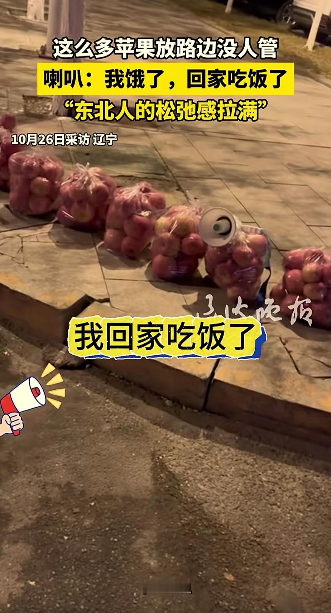 辽宁一小区门口的路边，放了一溜装好袋的苹果，苹果袋子上放着喇叭和二维码，喇叭里循