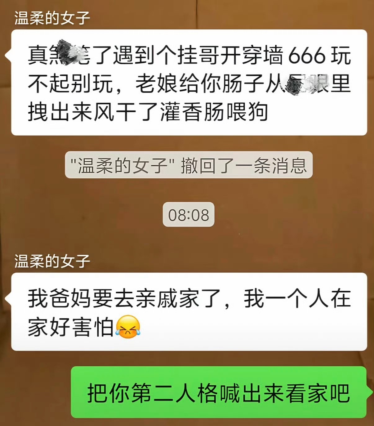 我就是那个温柔的女子 