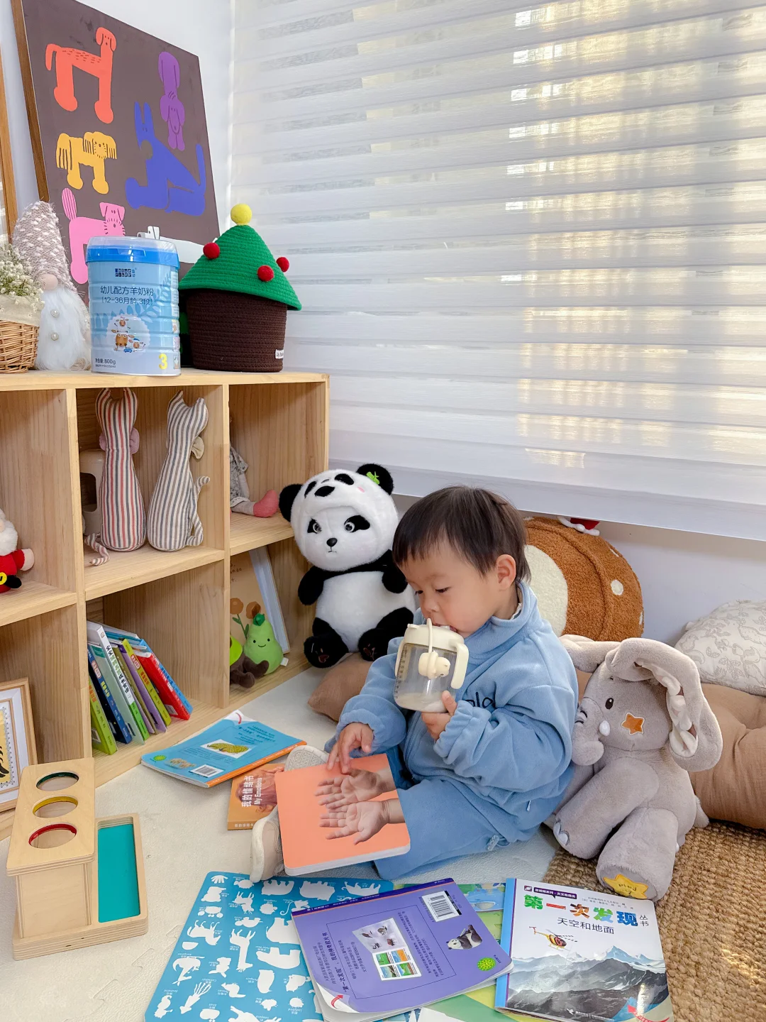 娃超爱蓝河绵羊奶，做的功课总算没白费
