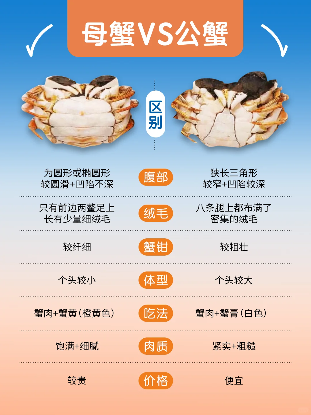 秋季应季鱼类速查👆｜🦀吃海鲜首选应季