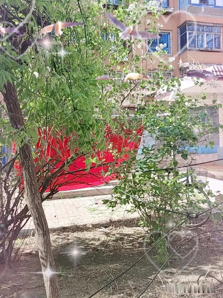 晒图笔记大赛