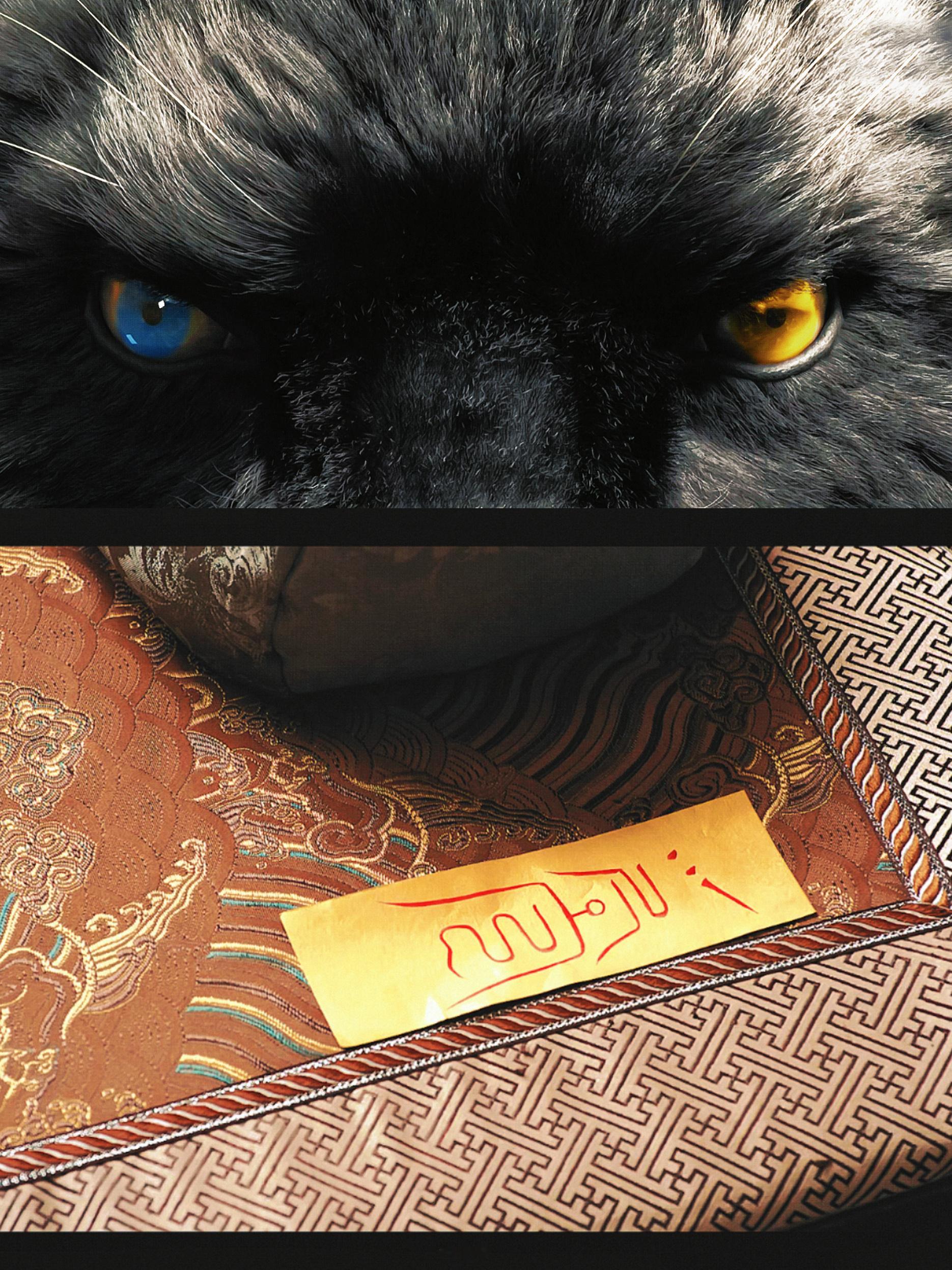 《仙台有树》第15集，猫的报恩[悲伤][悲伤][悲伤]煤球好可怜！秦玄酒铁汉柔情
