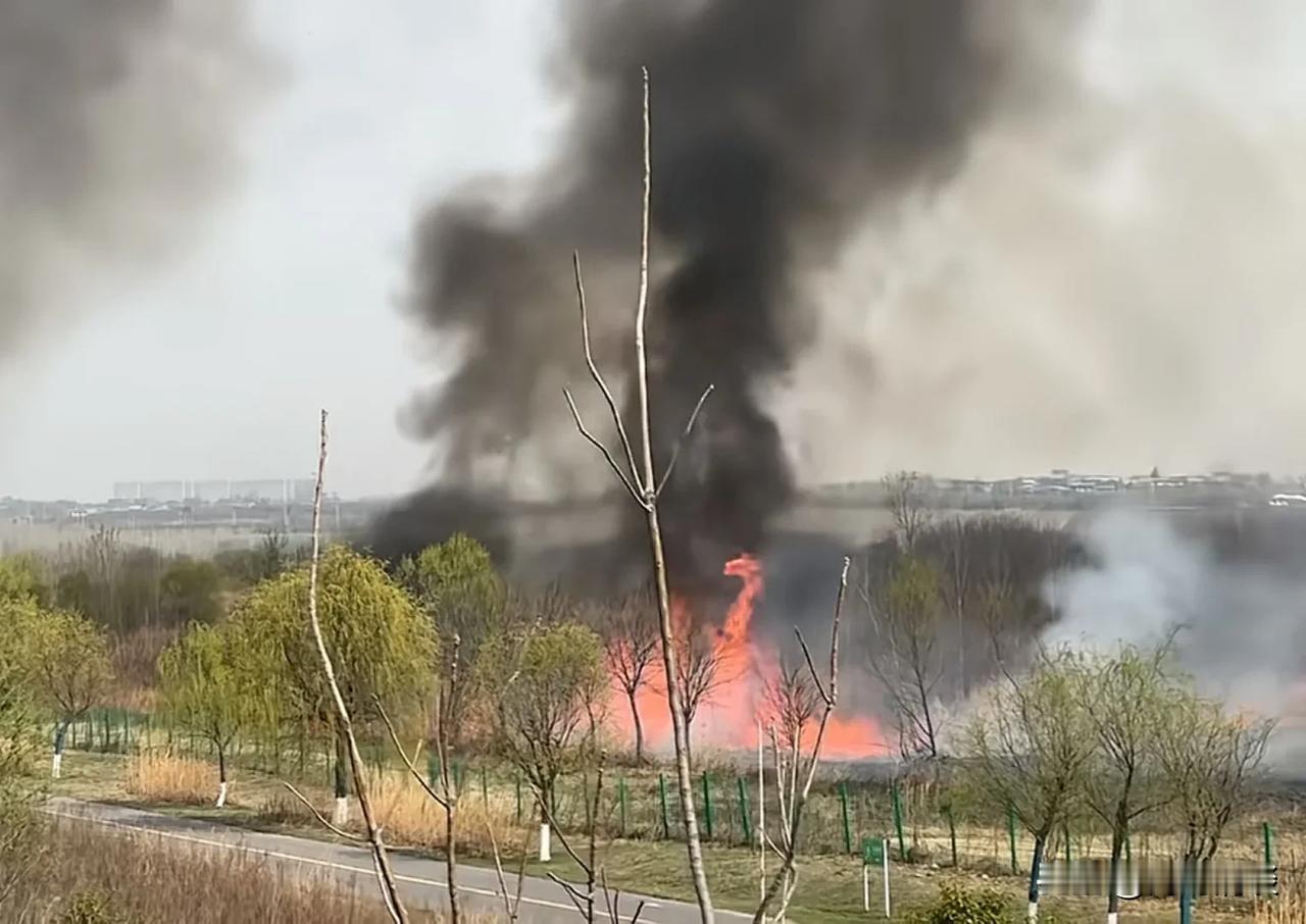 渭河河堤路烟熏火燎，是咋了？
春暖花开，出门踏青的人多了，尤其是渭河河堤路近年来