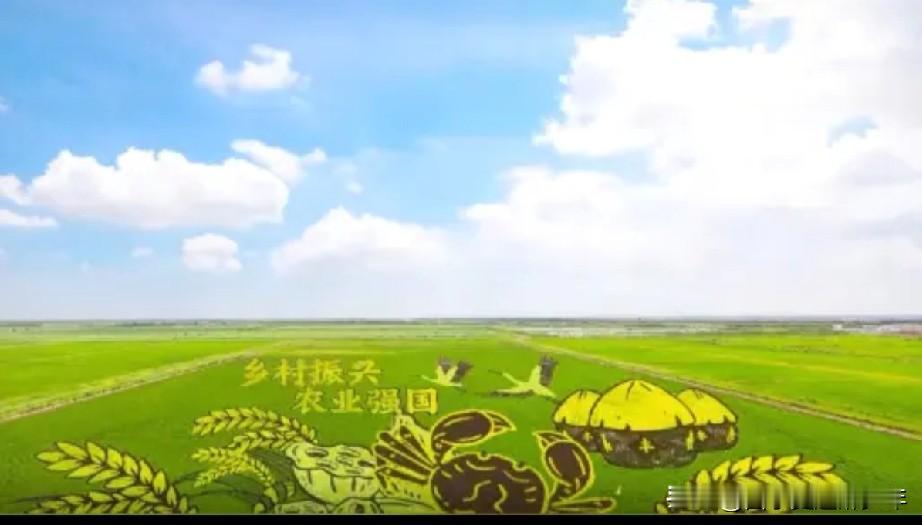 乡村稻田画很美。大地不再是春播秋收，可以绘画，让稻田有了色彩、浪漫、甚至思想。