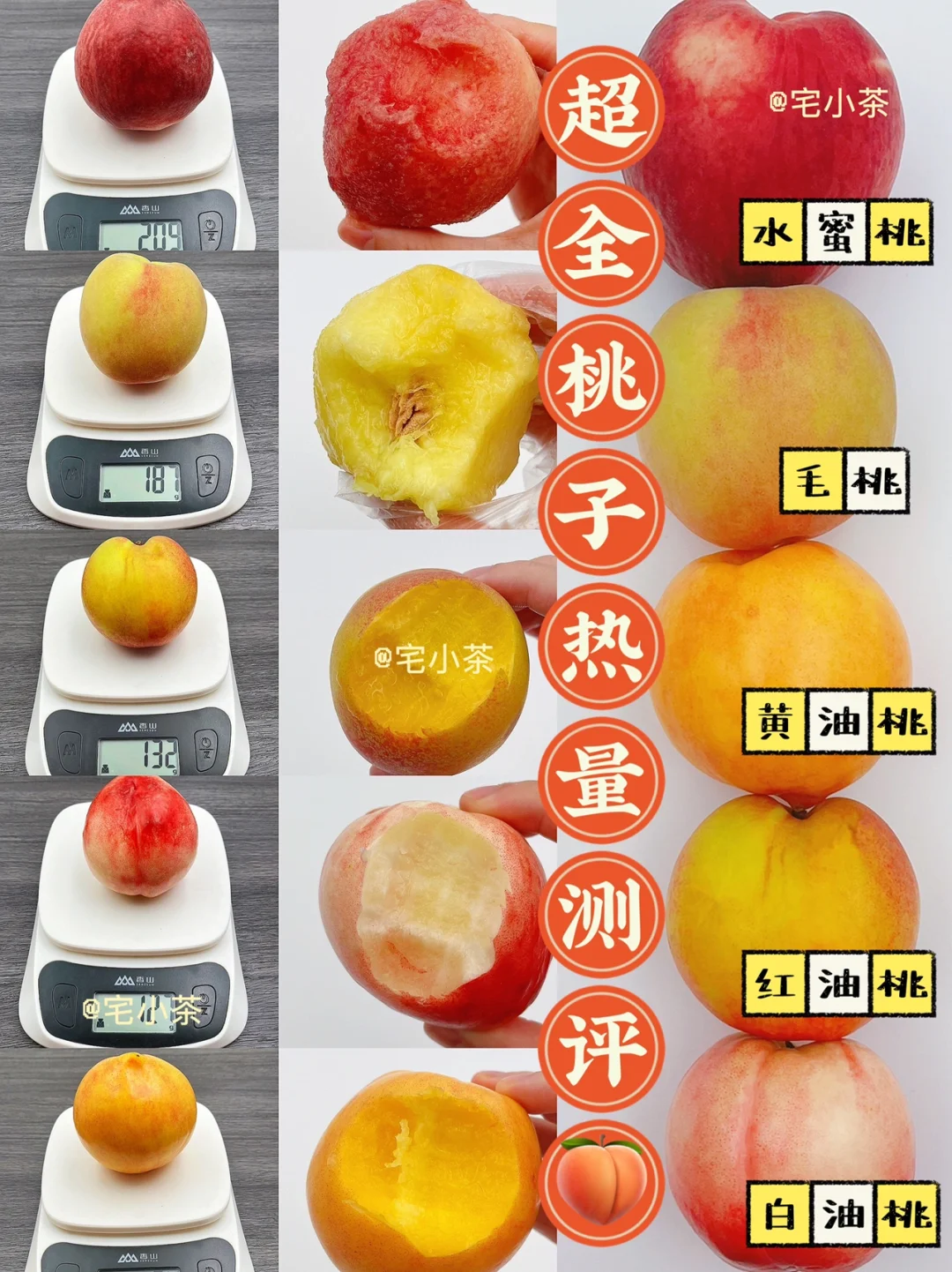 超全桃子热量测评🍑口感+热量+含糖量‼️
