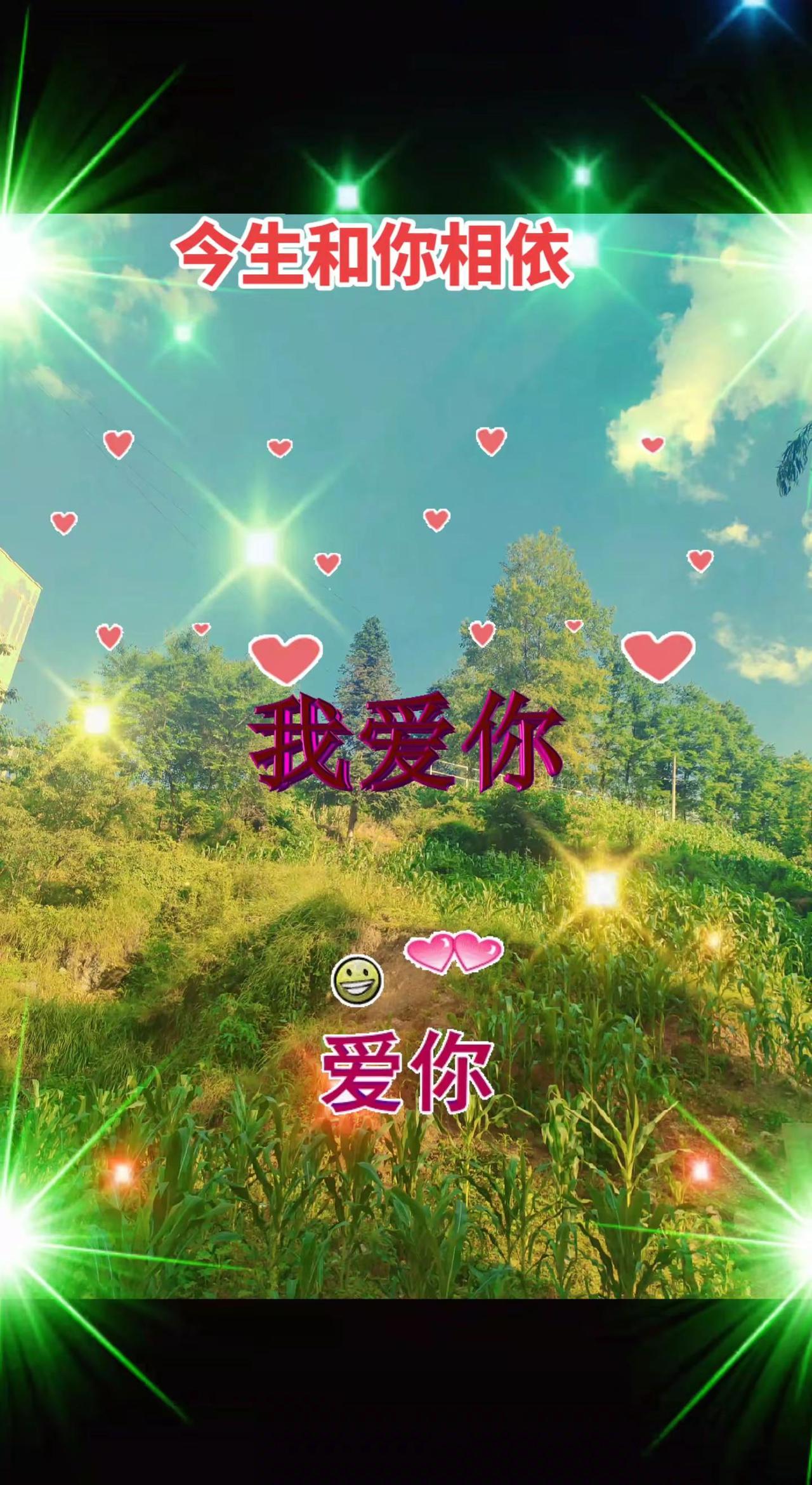今生和你相依