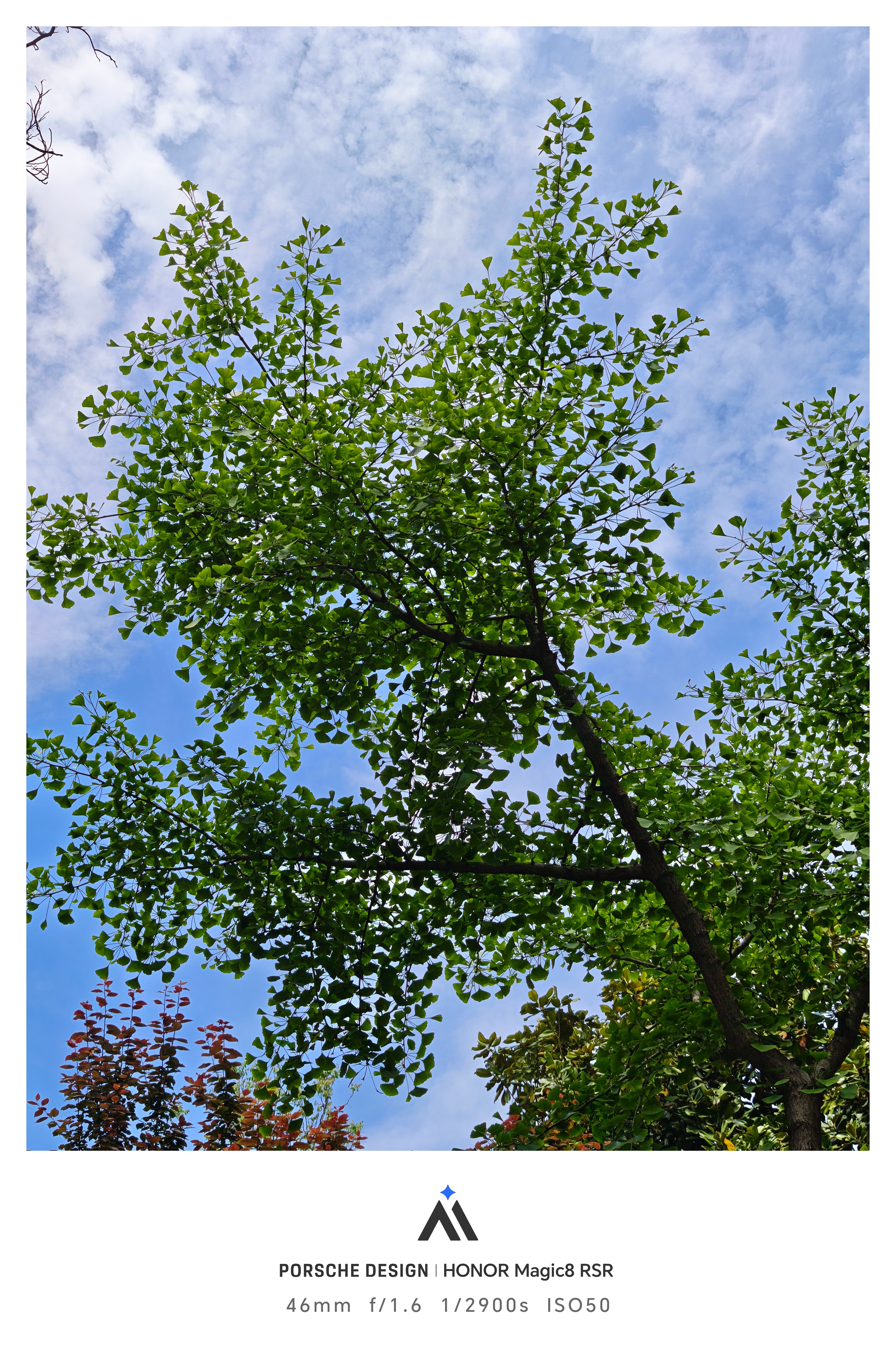 这个时候的绿色是看着最舒服的，嫩芽新叶翠绿色，没有夏日的炎热与焦躁，可以沉下心细