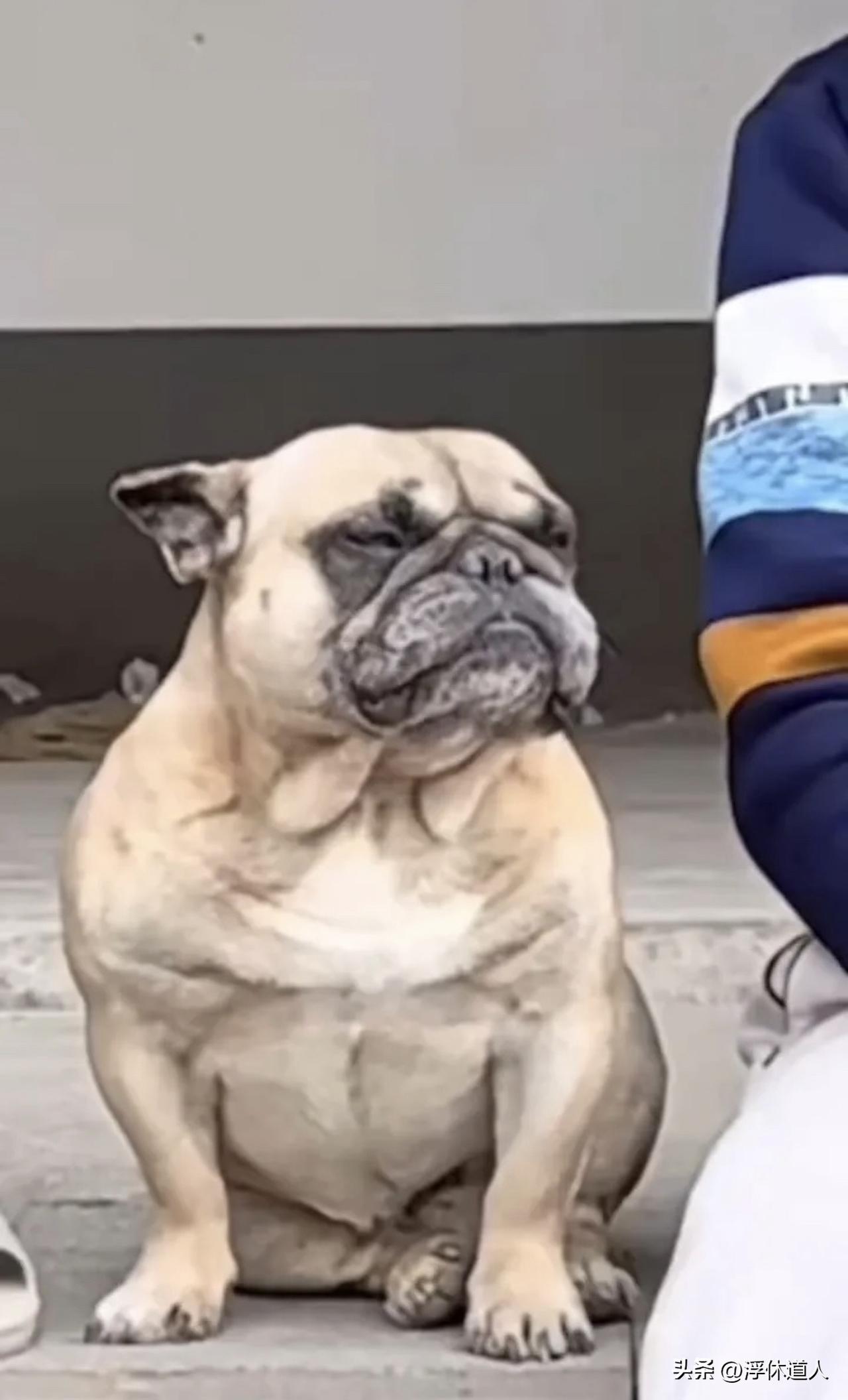 【修行笔记】感恩我所遇见的每个人

我的生命里出现的每一个人，都不是偶然。

·