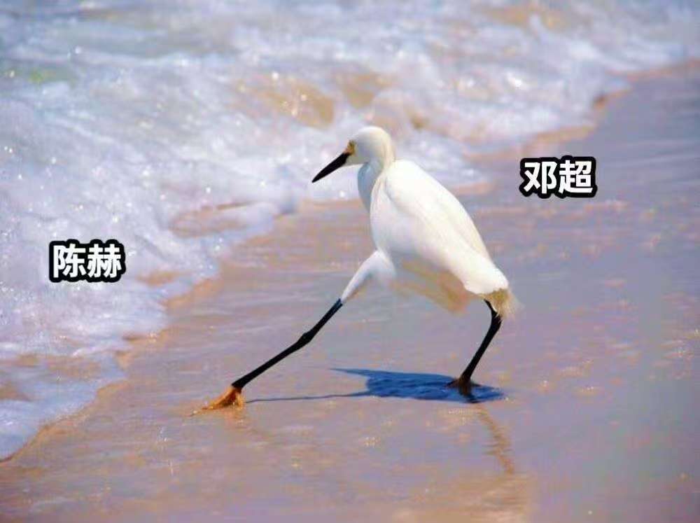 邓超的忍耐力也是顶级的 邓超陈赫推手游戏：忍耐力与搞笑力的双重暴击！超哥被贴脸时