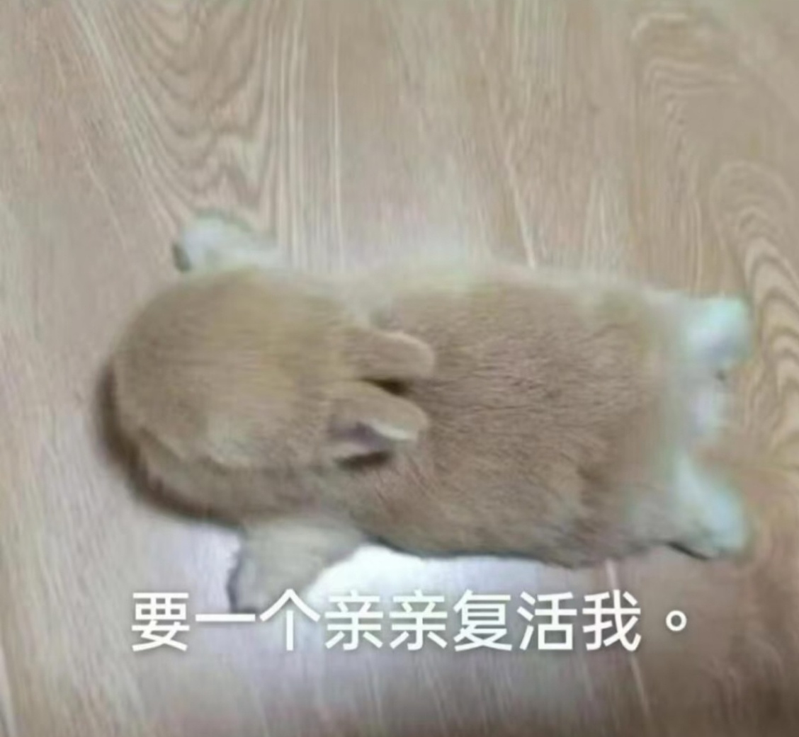 我好烦啊但是不知道哪里烦 