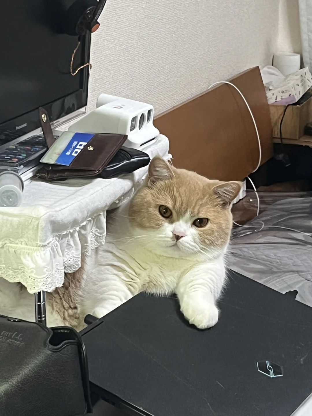 为了显瘦总是哪里窄躺哪里
