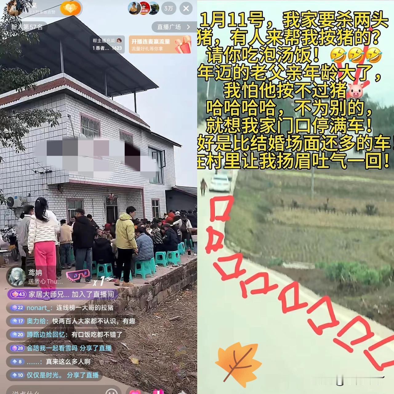 重庆合川网友呆呆闯了人生最大的“祸”：老爸杀猪，他上网求助找人帮忙按猪、凑个热闹