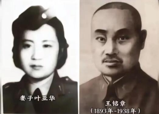 2003年，一位92岁的老太太从台湾回到成都。当地政府安排了欢迎仪式，街边站了不