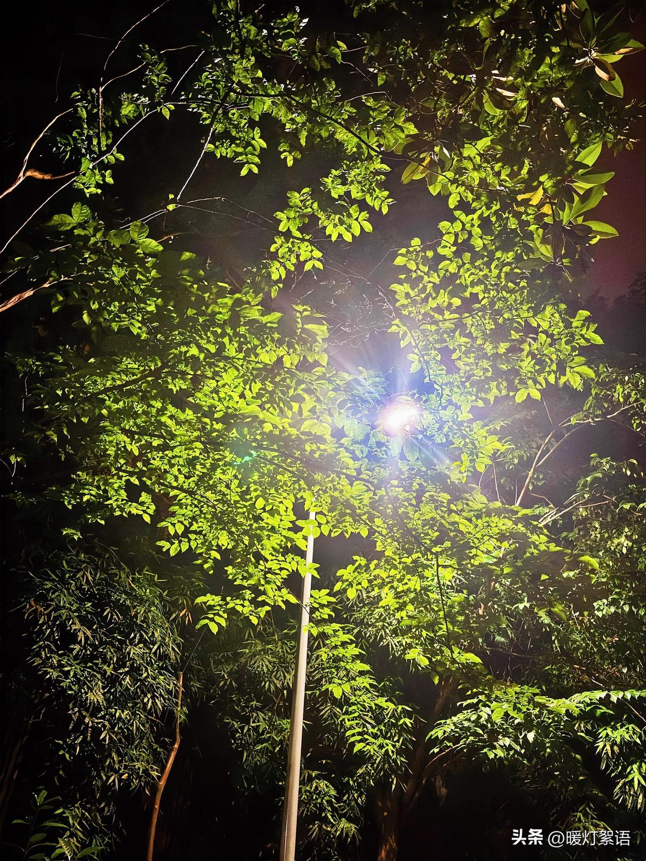 很多人、甚至妈妈自个，都误会了一件事
深夜忍不住对孩子发火的妈妈，并不是性格不好