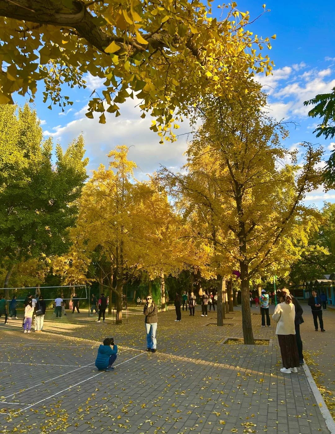 新学校新开始3——1+3的准备
既然已经认定了rc的1+3，于是马上付诸行动开始