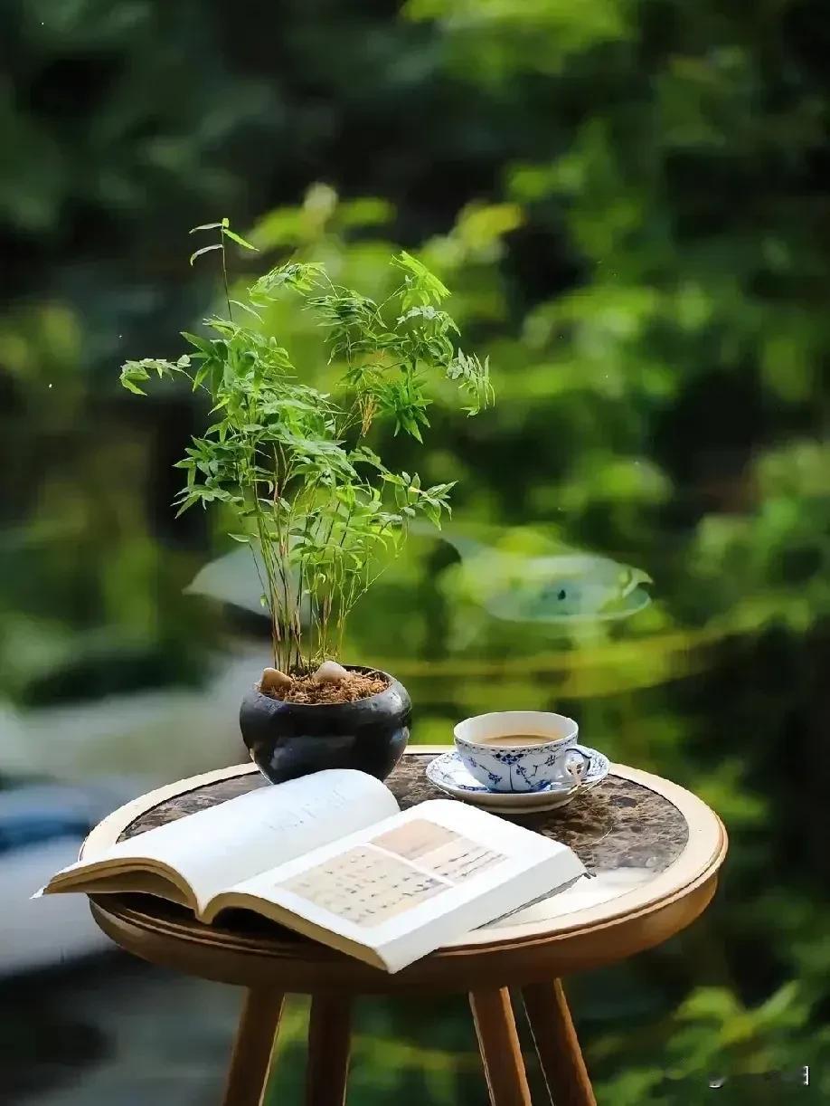 《浪淘沙·良友相逢》

雅士似书卷，
开阔尘寰。
良言一盏照清欢。
善者门庭容暖
