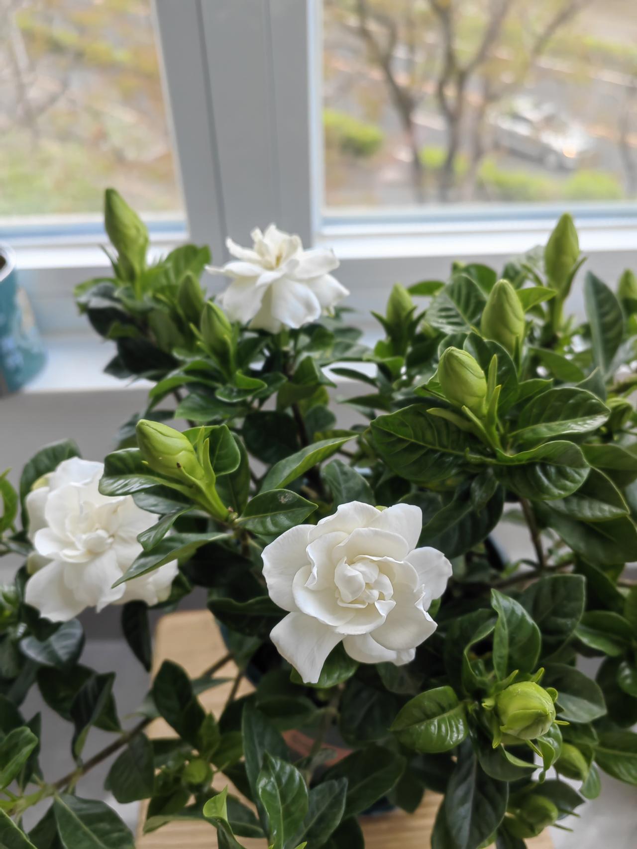 昨天心情不太好，是我越来越清楚地看到自己性格的弱点——该有锋芒的时候，总是锋芒不