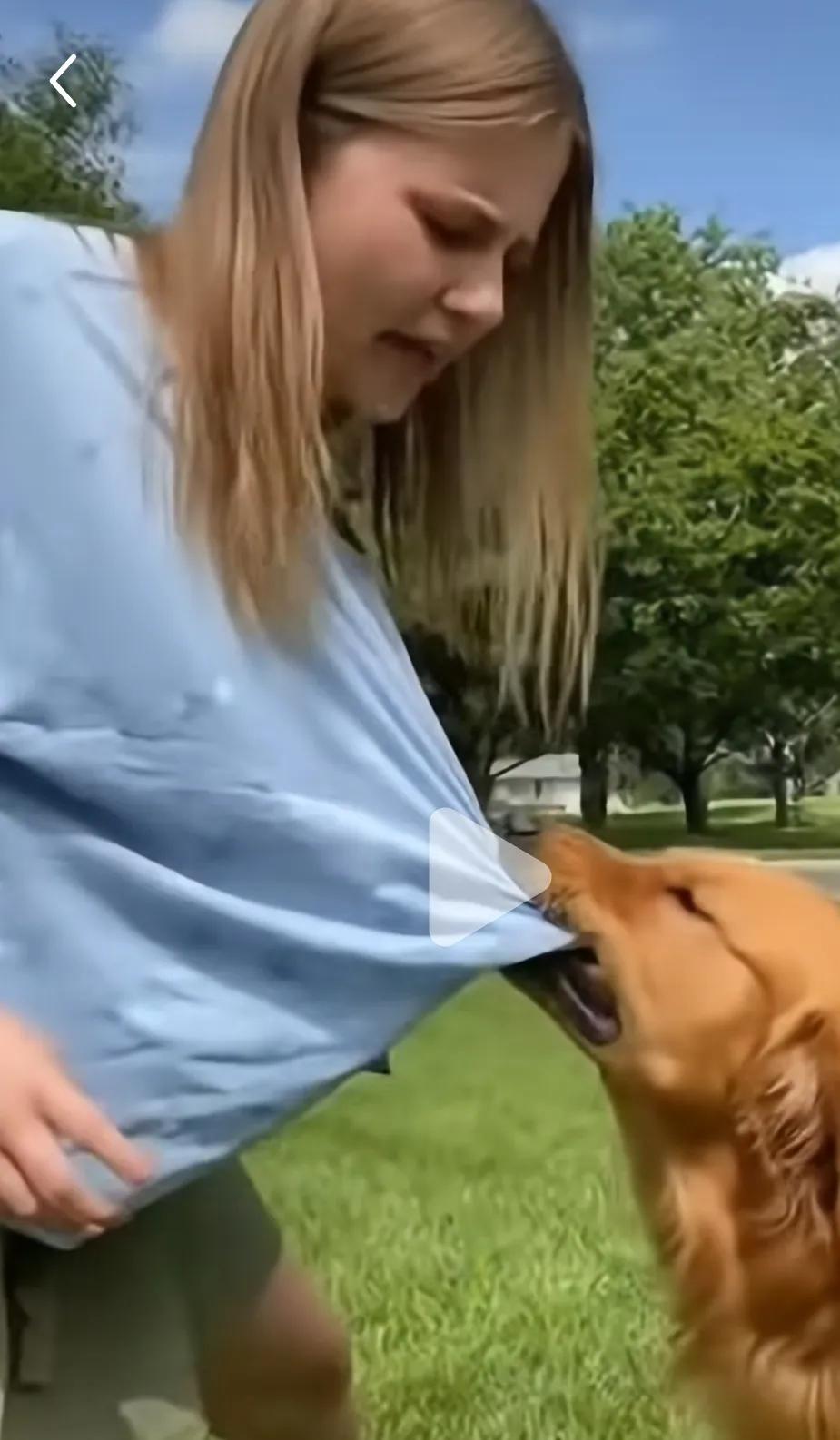 这建议真够狠的，但我举双手赞成。 只要狗咬了人，别扯什么赔钱了事，狗主人直接进去