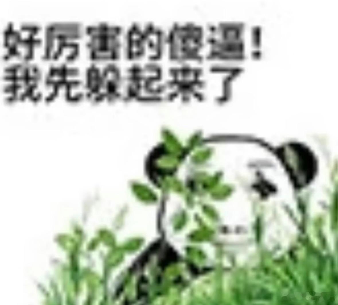 分享图片 