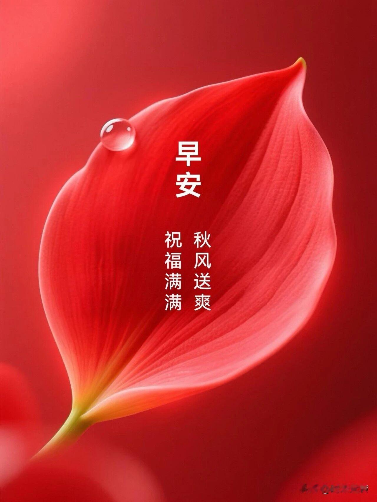 第一注:2 15 24 25 31 33-10
第二注:7 12 13 22 2