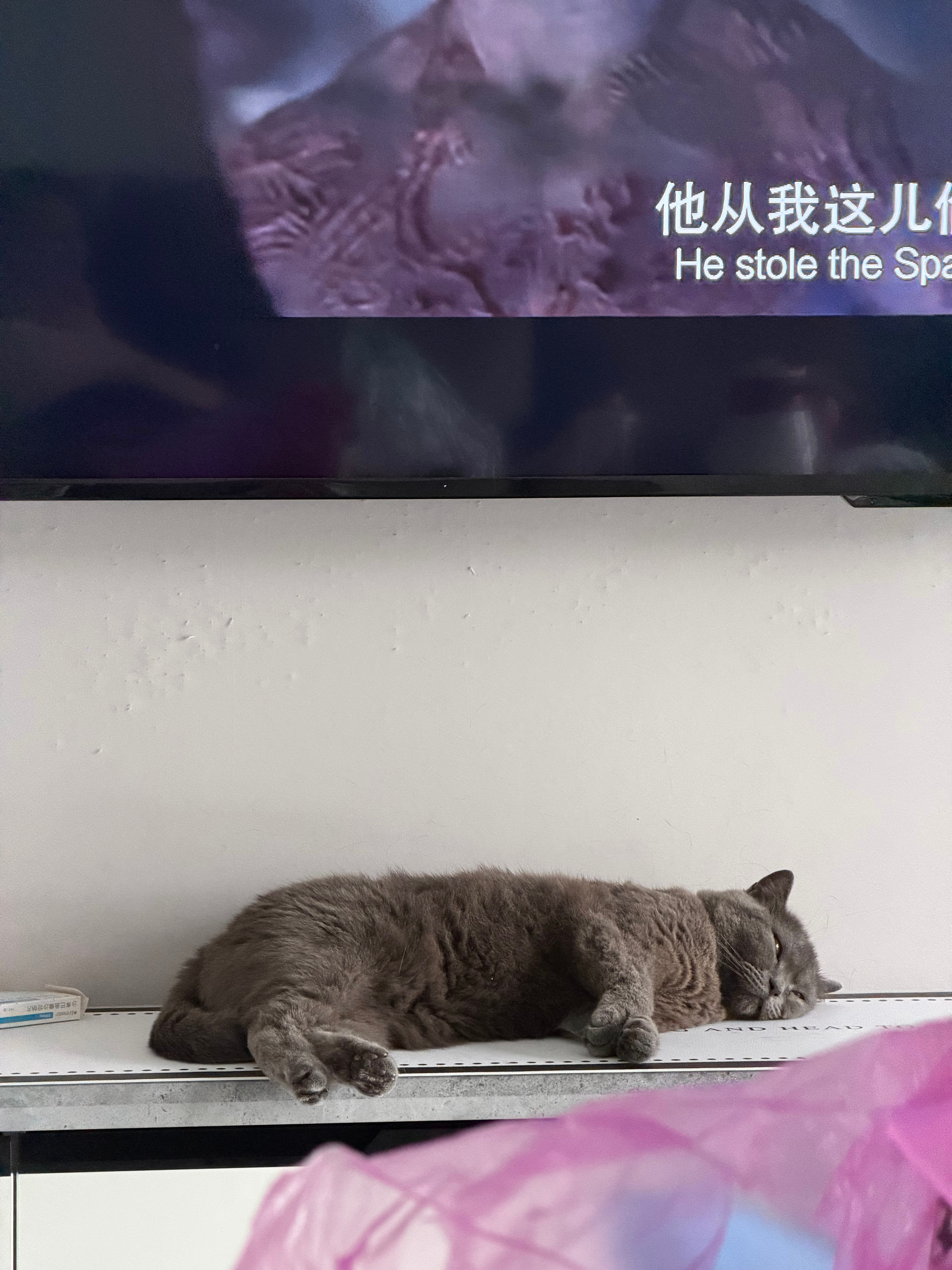 做妈妈的就这样 每张都觉得不一样可爱的不行 