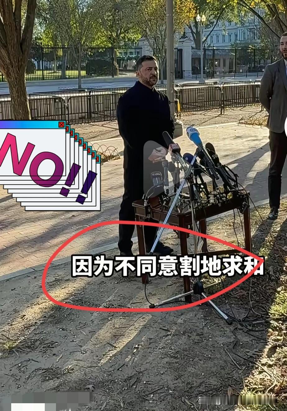 那张照片刷屏的时候，我盯着看了很久——泽连斯基站在那里，西装皱巴巴的，眼神里有疲