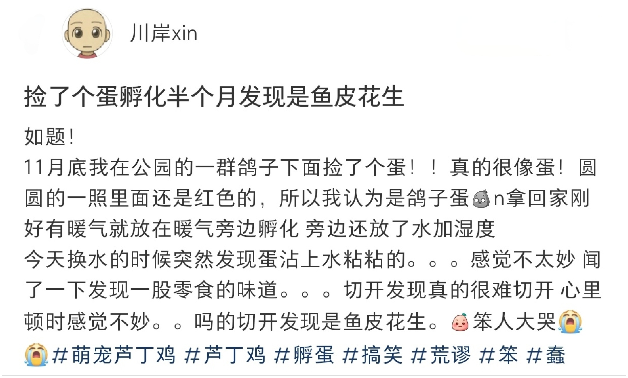 捡了个蛋孵化半个月发现是鱼皮花生😂 #v笑年度大赏# ​​​