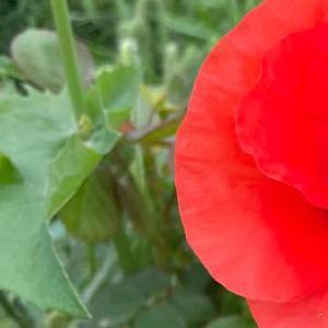 每日一善每日一善 生活，需要追求；梦想，需要坚持；生命，需要珍惜；人生的路上，更