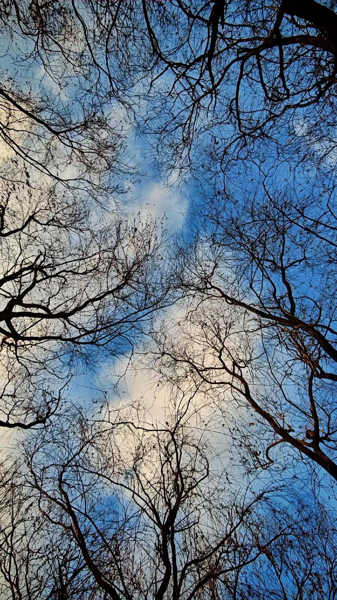 你们家冬至都有啥特别的老讲究?
冬至这碗饺子，少一口都不算过冬
 
咱这儿冬至没