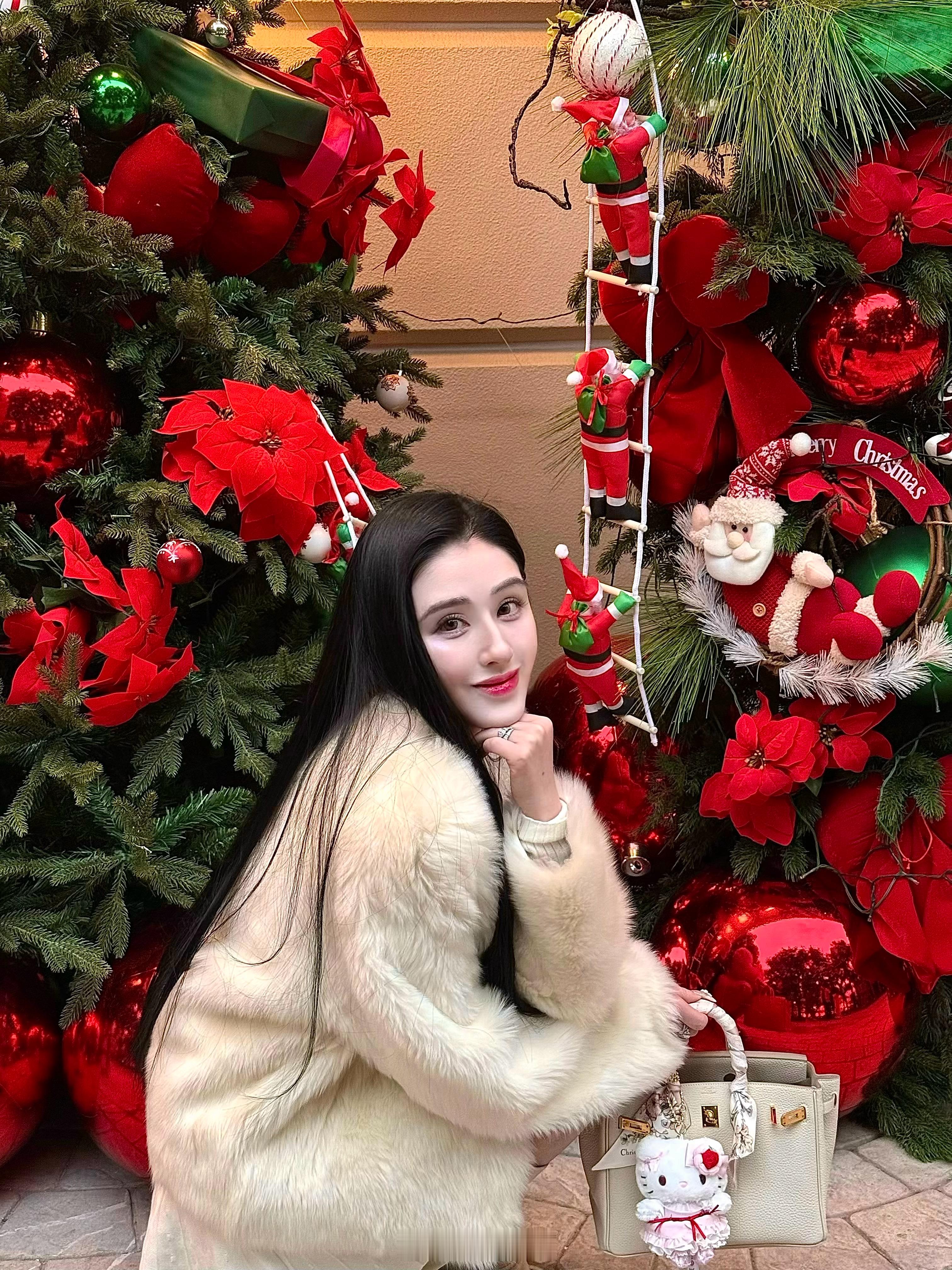 十二月的风吹来了圣诞节 🧣 