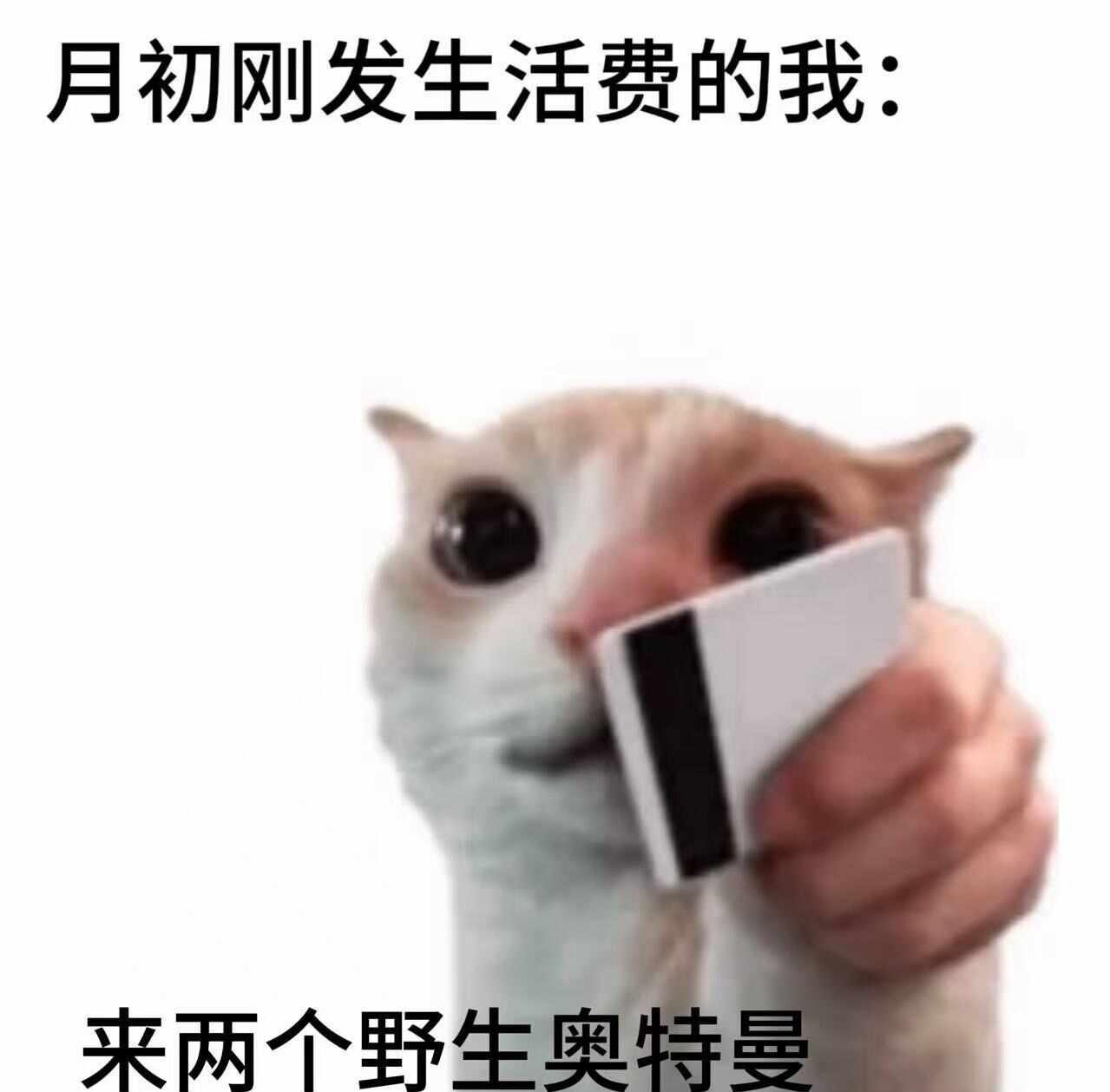 一些对生活毫无帮助的meme
梗图