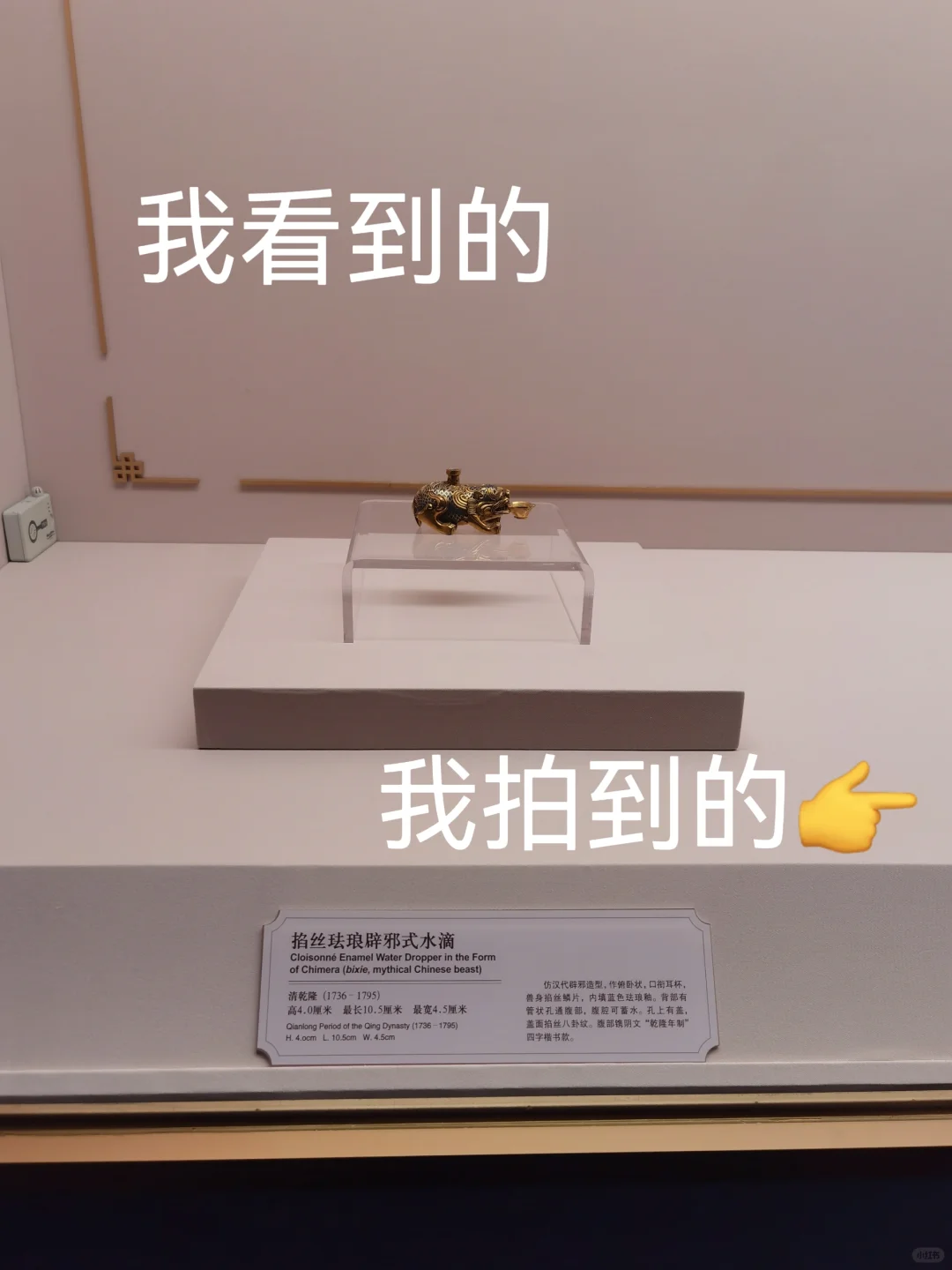 听说这样发会有人看❓我看到的vs.我拍到的