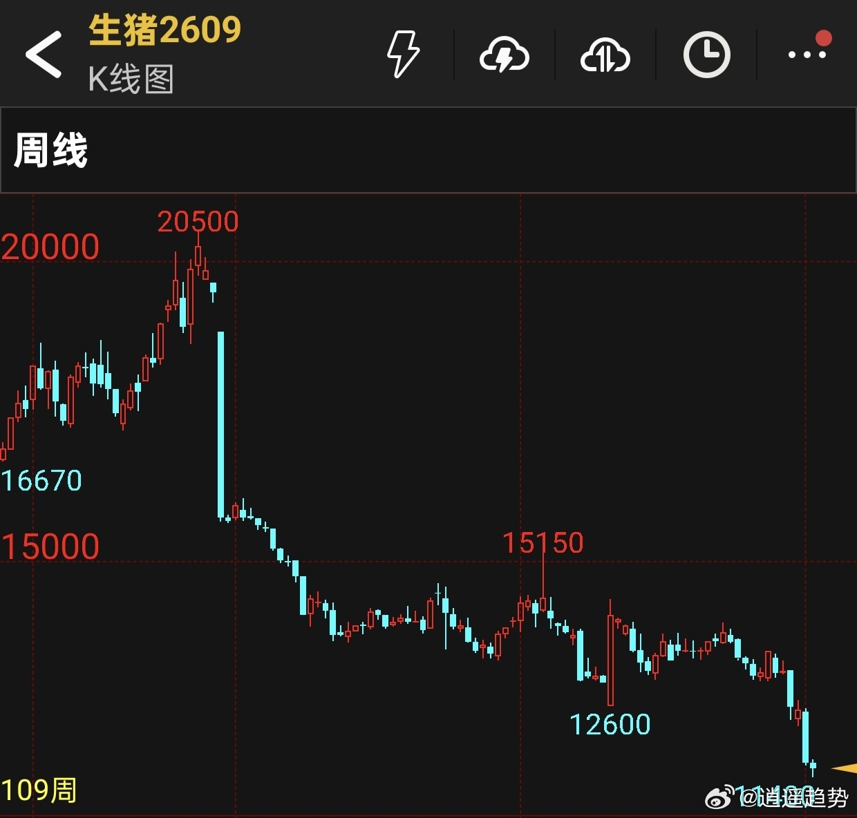 期货 满仓梭哈生猪09会咋样生猪