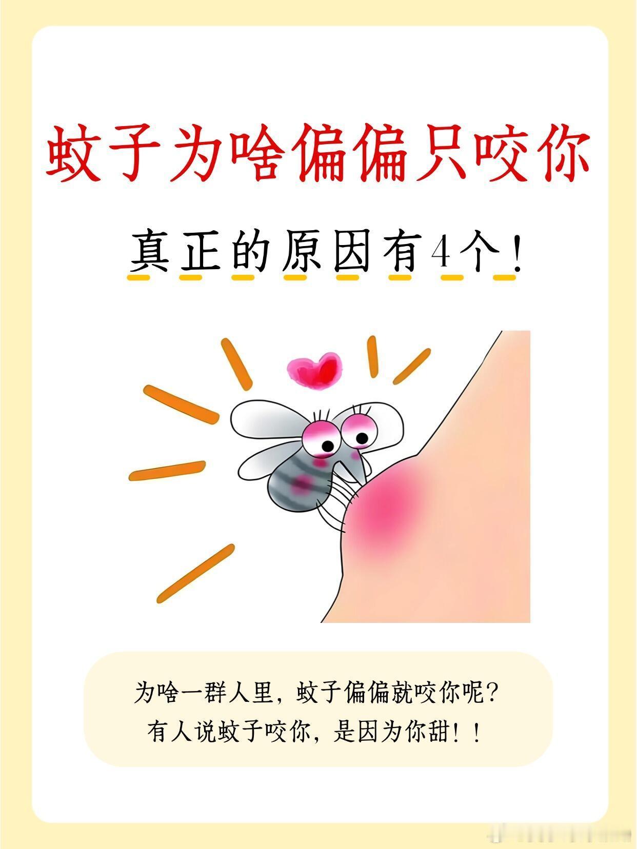 如何辨别蚊子是否传播基孔肯雅热蚊子为什么喜欢咬你？有四个原因：1.出汗2.呼吸深