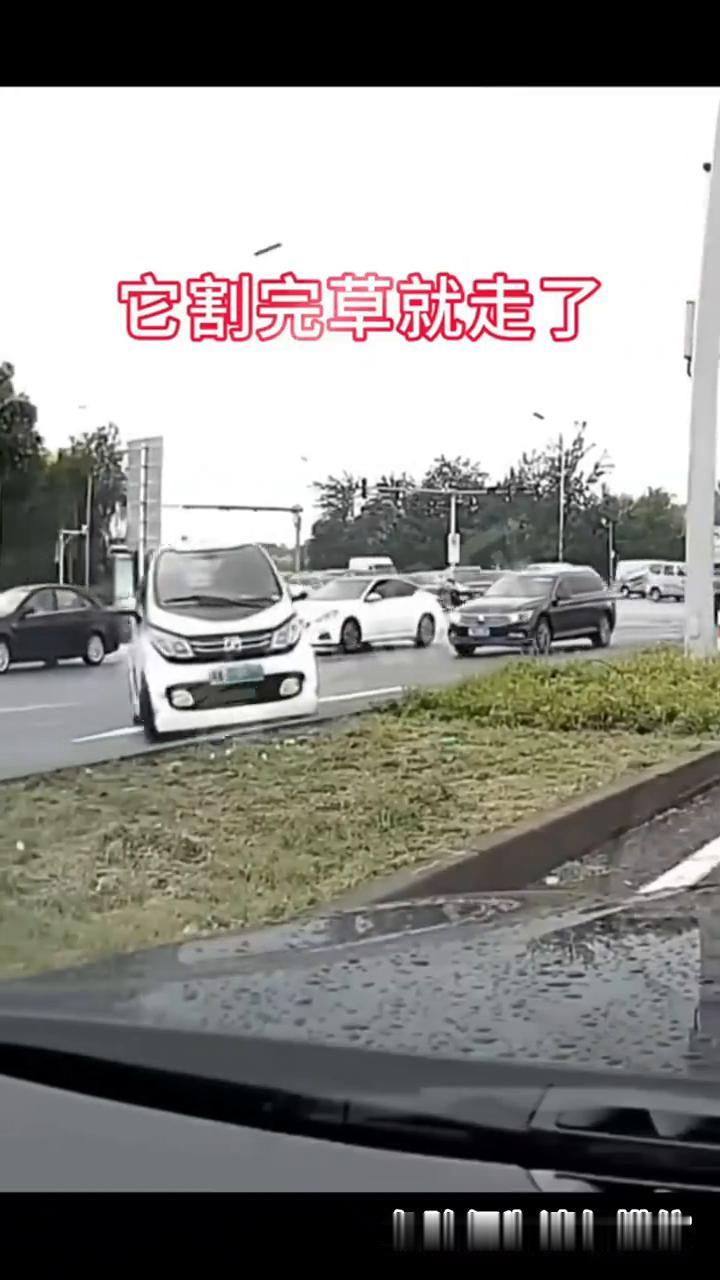 它割完草就走了。
危险行为请勿模仿。