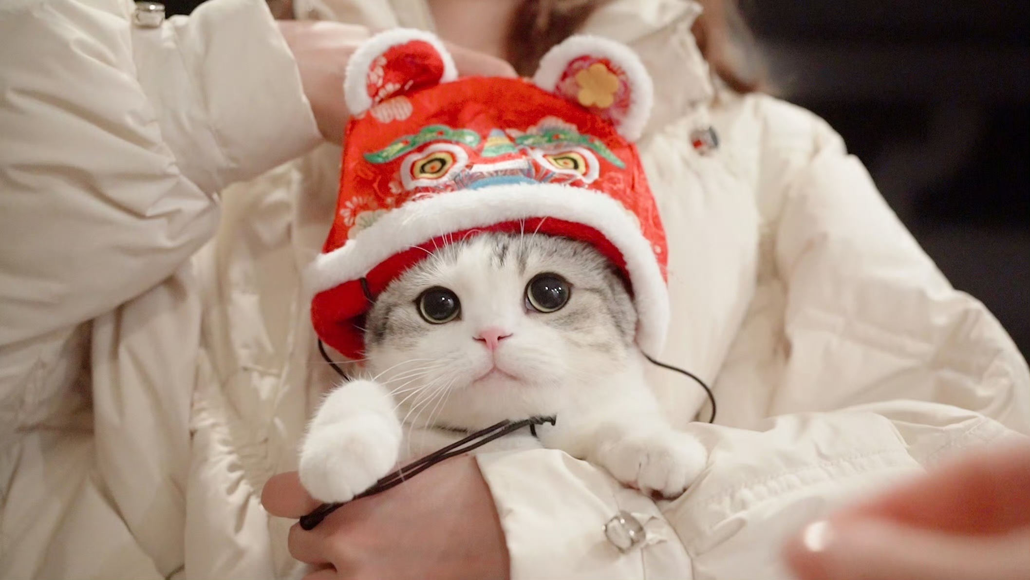 怎么时间过得那么快呢 宝宝还以为才过年呢！ ​​​
