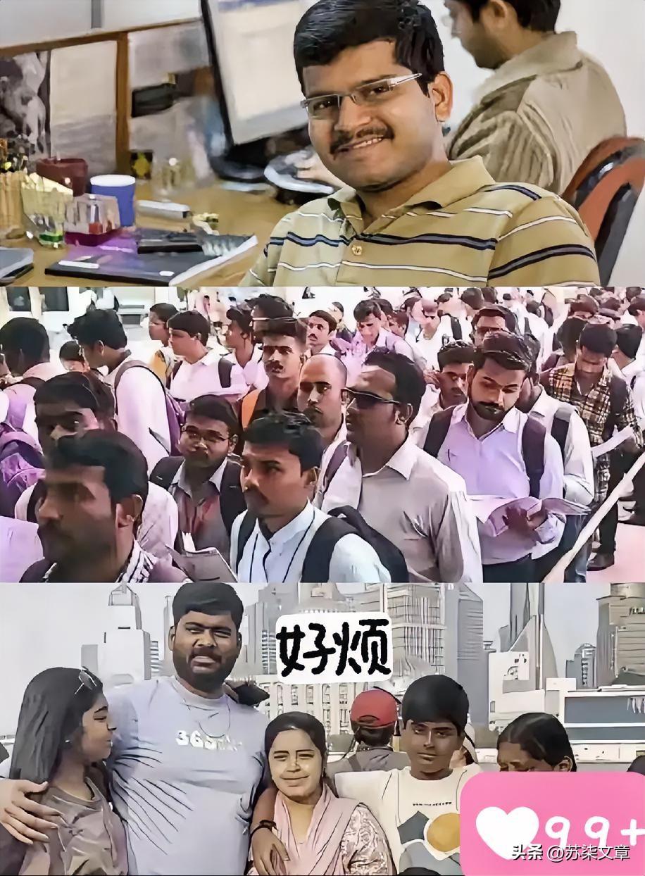 真的被现在的留学乱象惊到了！
​本来以为留学生都是来求学读书的，结果查出一大批打