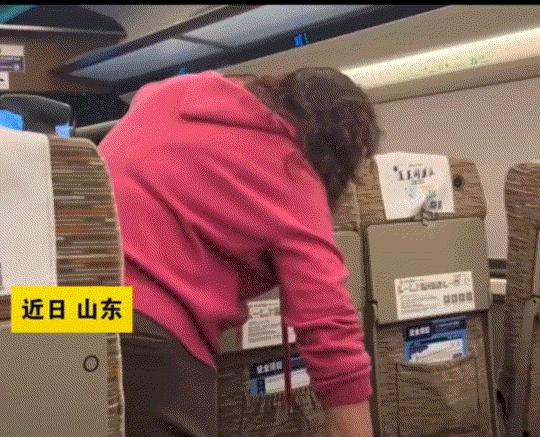 东北一女子和母亲坐高铁，因为连续坐了五个多小时了，女子母亲实在坐不住了，便起身离