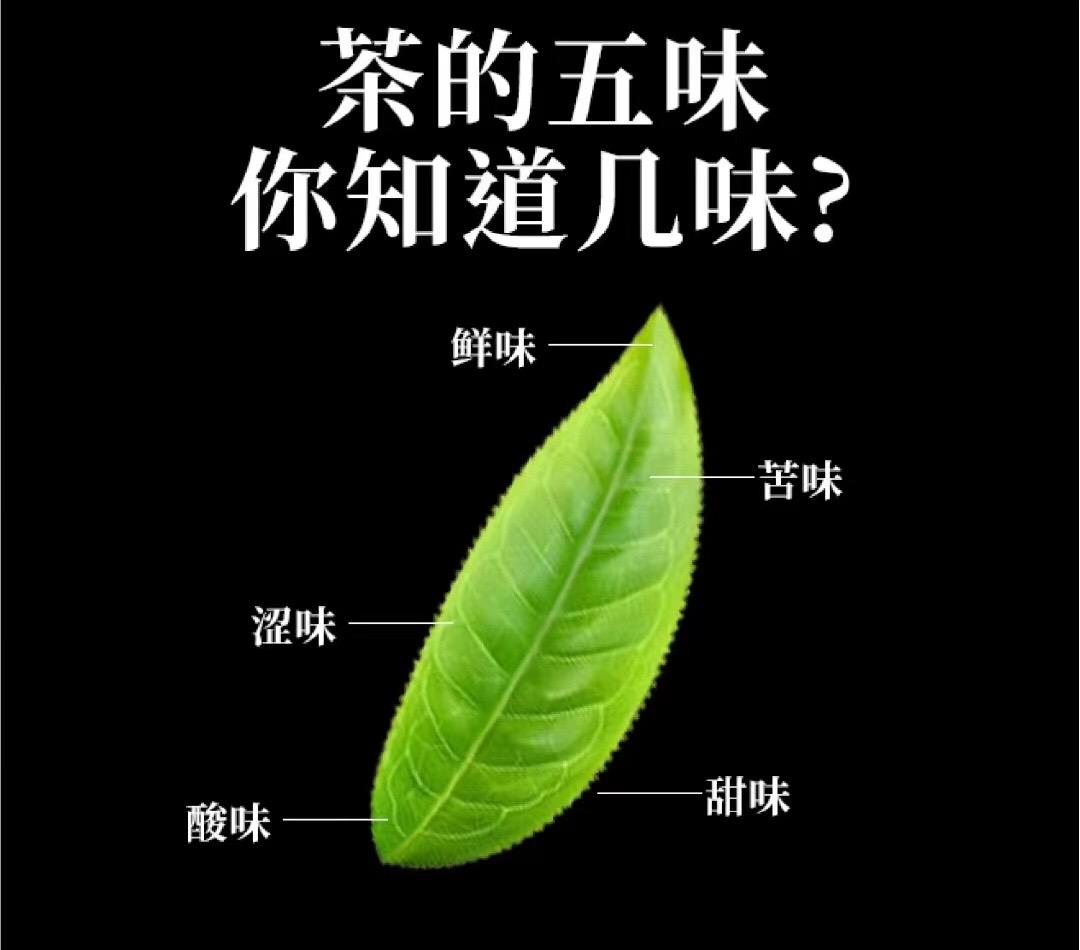 很多人都说茶有五味，你知道是哪些吗？茶知识 每日一茶 #召唤茶友