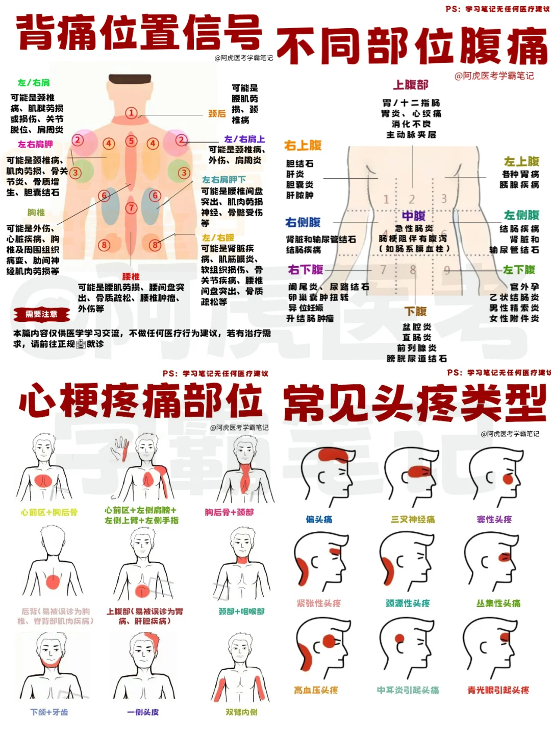 医学生笔记📒｜不同部位疼痛👆