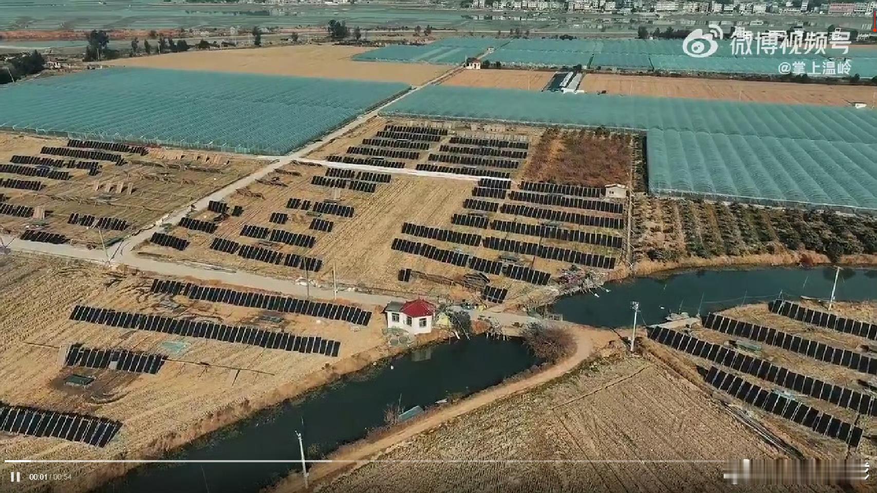 海的味道铺就台州渔村共富路海产增收，民宿迎客，台州渔村把海风酿成共富甜滋味！台州