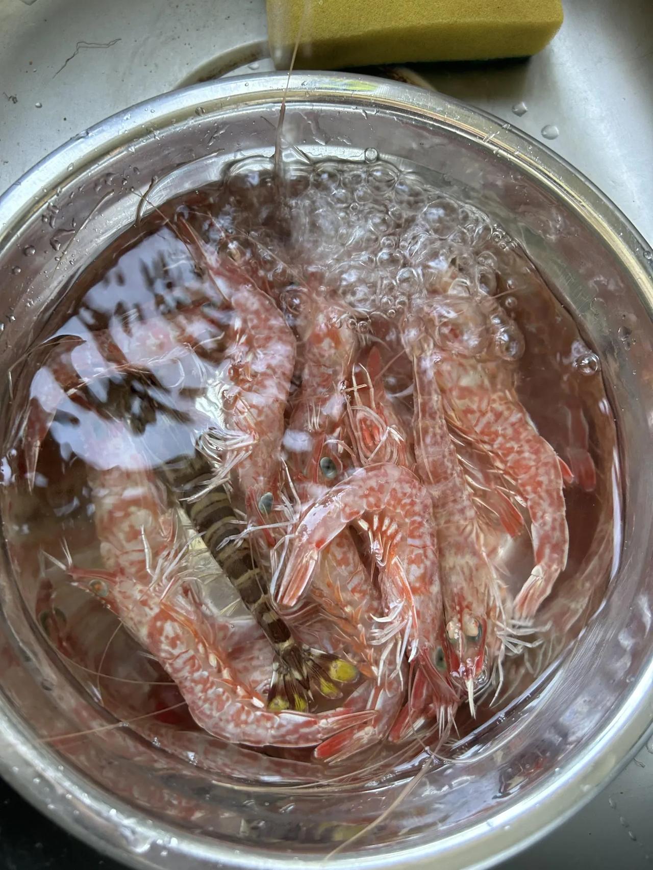 这次是野生了吧