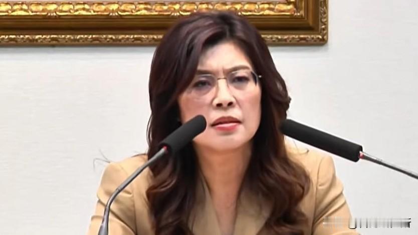 最近岛内政局有点诡异
岛内民意真的变了吗

蒋万安在首提725大游行后
再提出倒