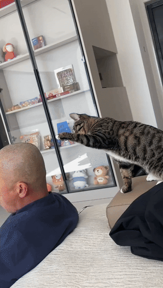 辽宁，一女子的父亲感觉每天起床打理发型太麻烦了，于是剪了个光头，不料，回到家后，