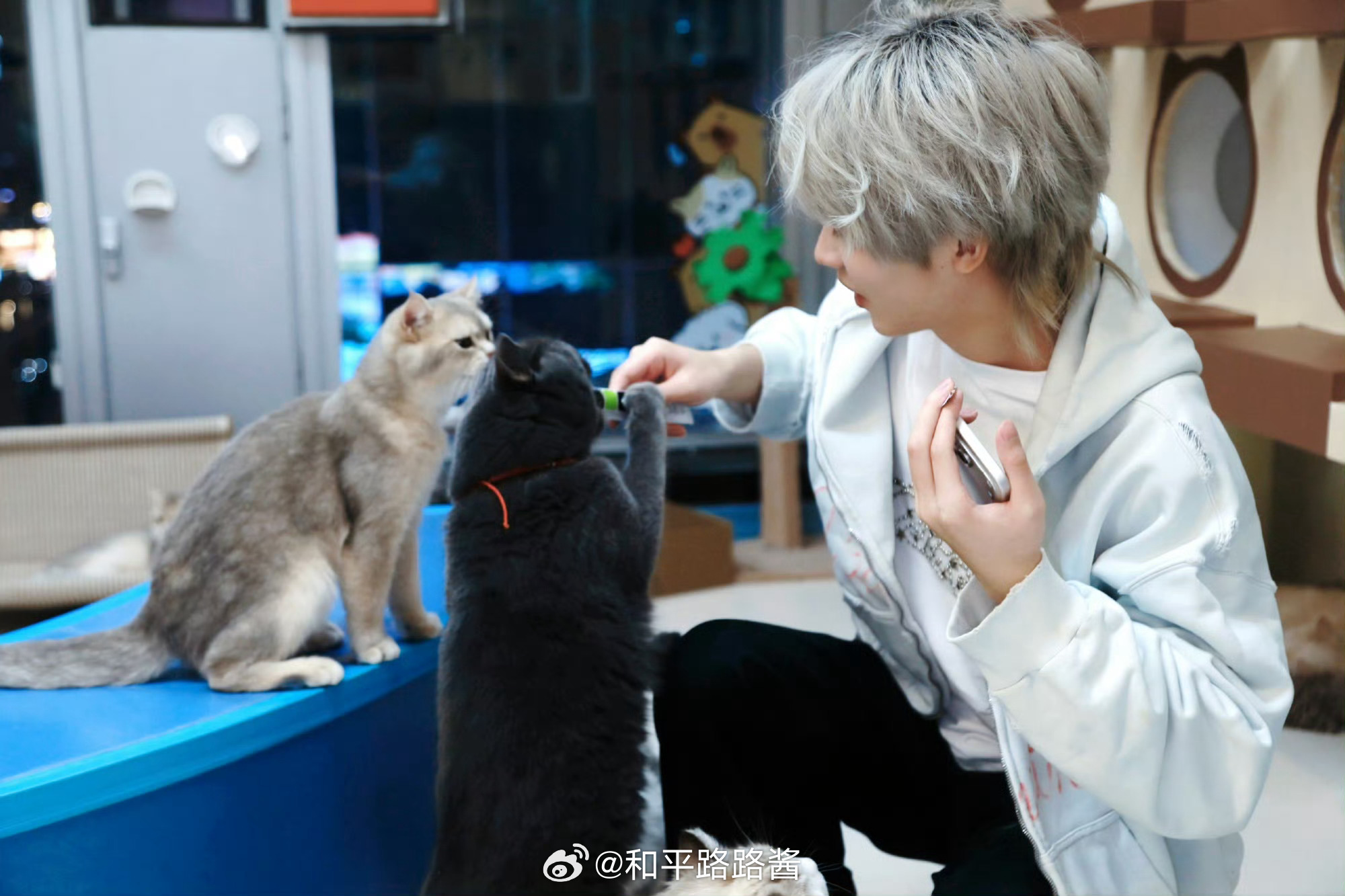 猫猫和🐱电竞点播台 2026pel春季赛