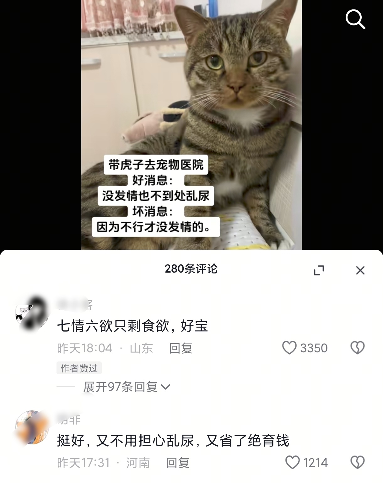 哈哈哈哈哈哈养胃小猫[笑cry] ​​​