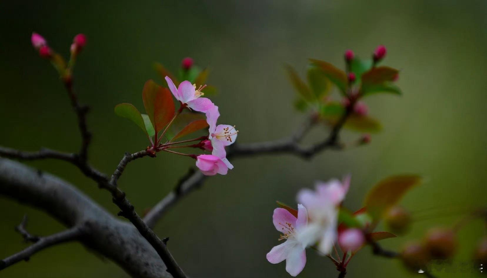 早安早安心语早安,新的一天  早安心语超话  治愈不开心人生感悟人生微语每天说早
