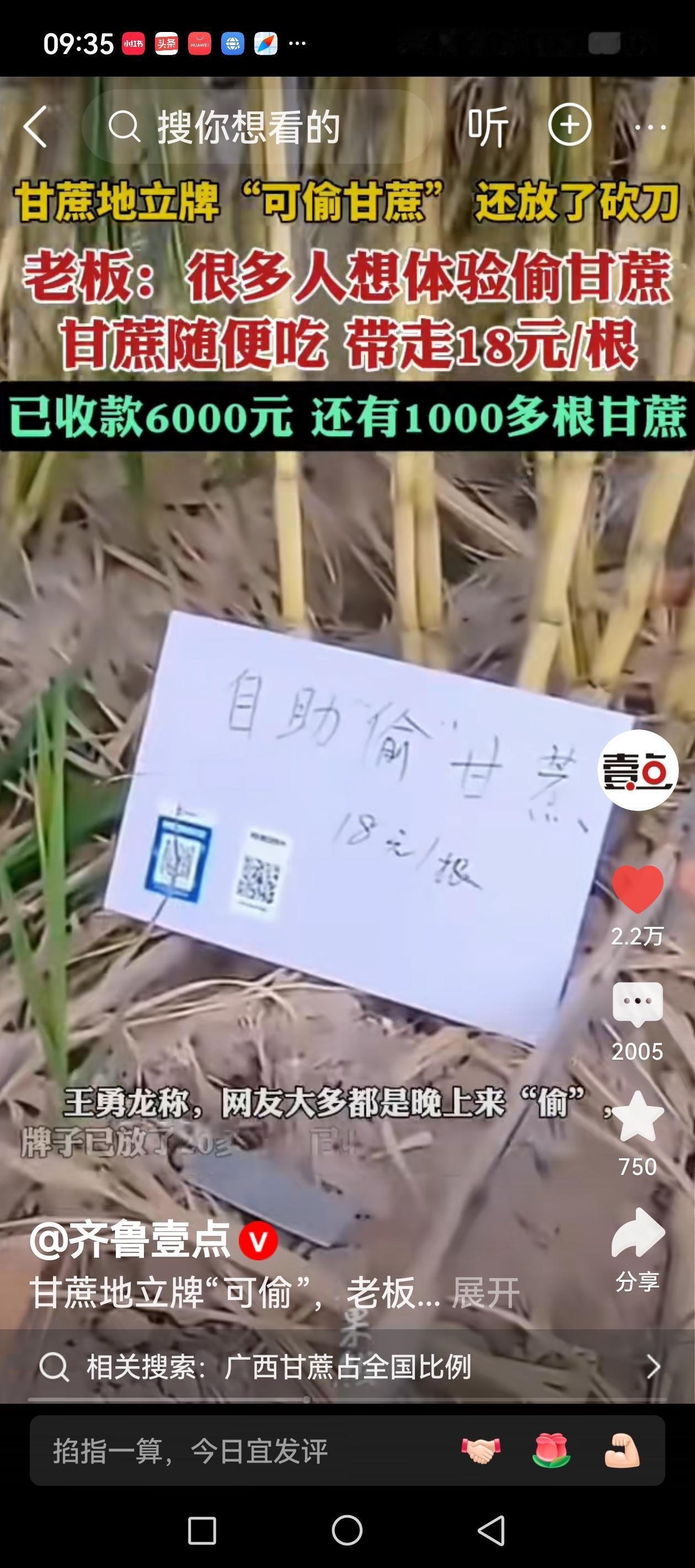 小时候，有过“偷瓜”“偷枣”的经历，顽皮、刺激又有几分胆怯，但成功了还是有几分窃
